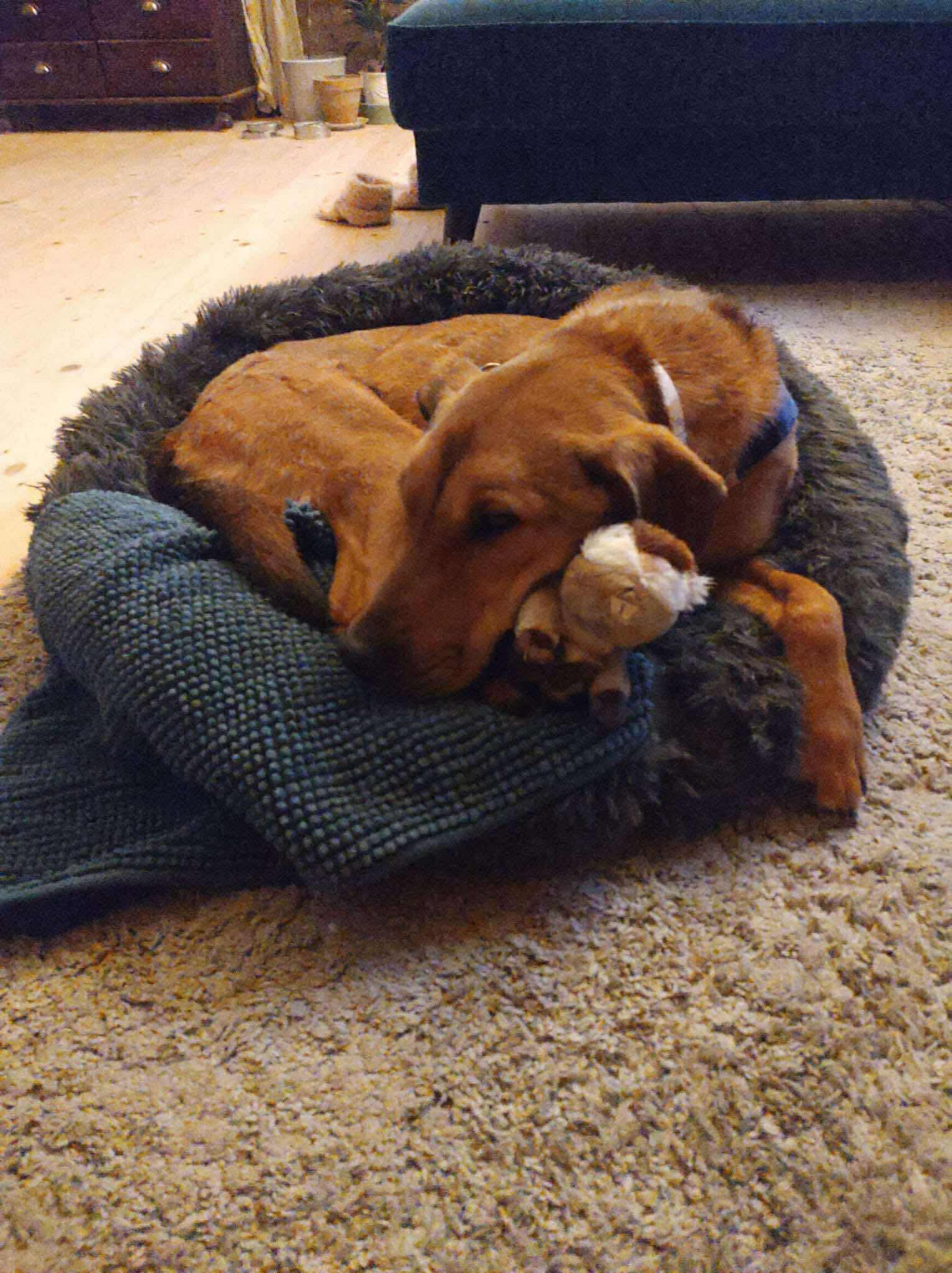 From Streets to Love: Gina’s Beautiful New Life