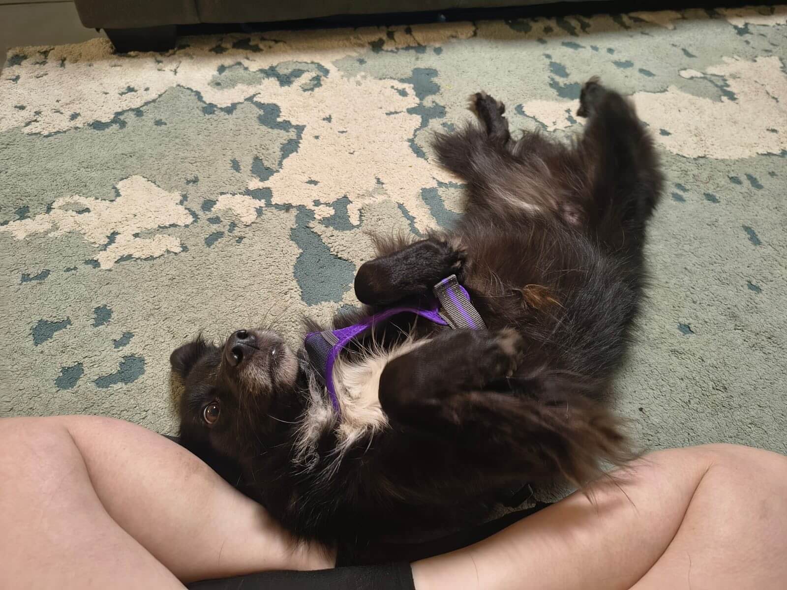 Blanka’s Rescue: From War to Love and Safety