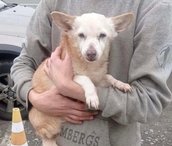 Become Kraken’s Lifeline: Help a Brave Survivor From Ukraine