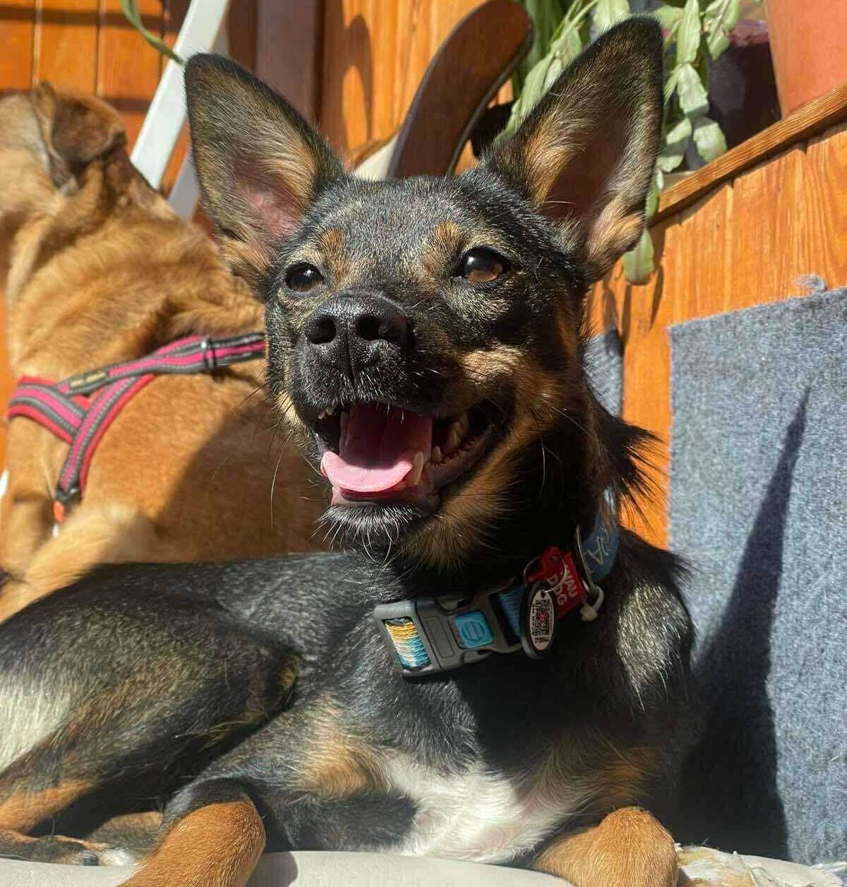 Help Ray & Jack Get Life-Saving Medical Tests