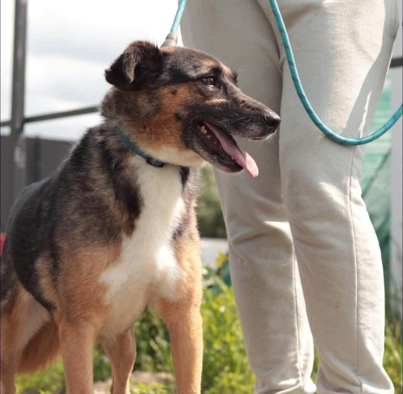 Zoja: A Loving Survivor Searching for Her Family