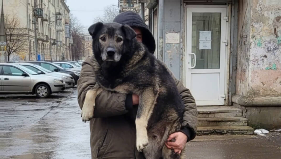 Double Your Impact for Ukraine’s Animals Today