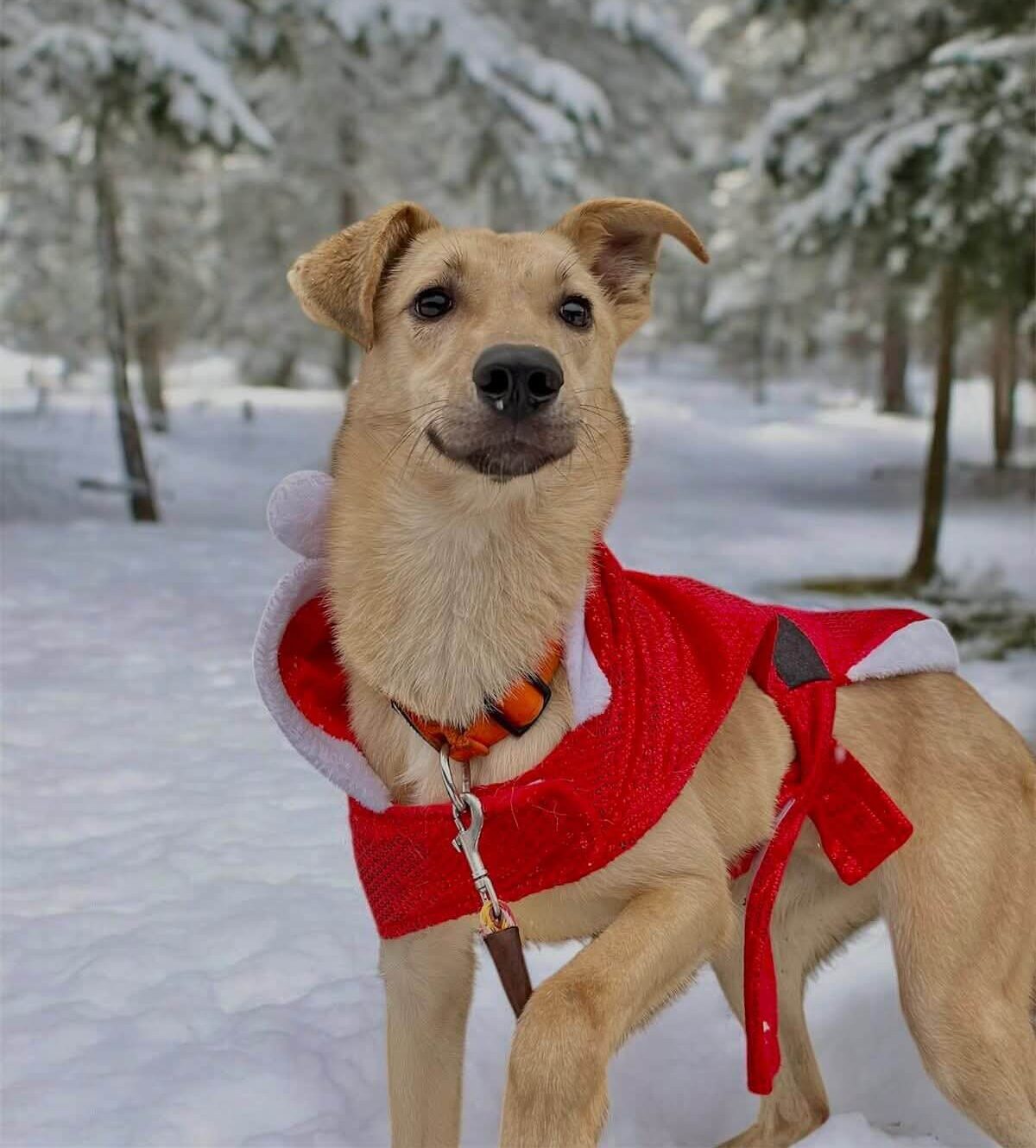 15.12.2025-news-thumb