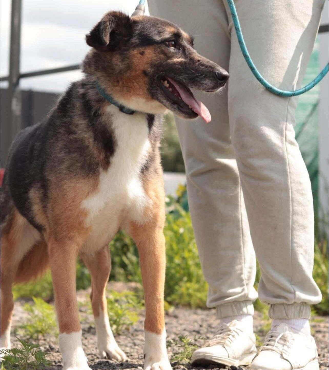 Zoja’s Second Chance Begins With You 🐾