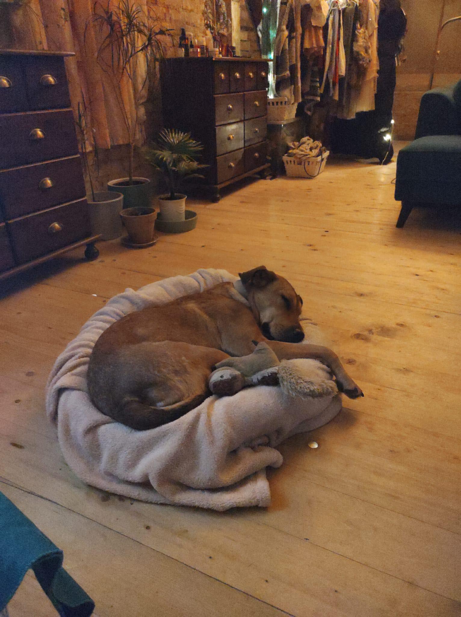 Orla’s Quiet Happiness - A Life She Once Could Only Dream Of