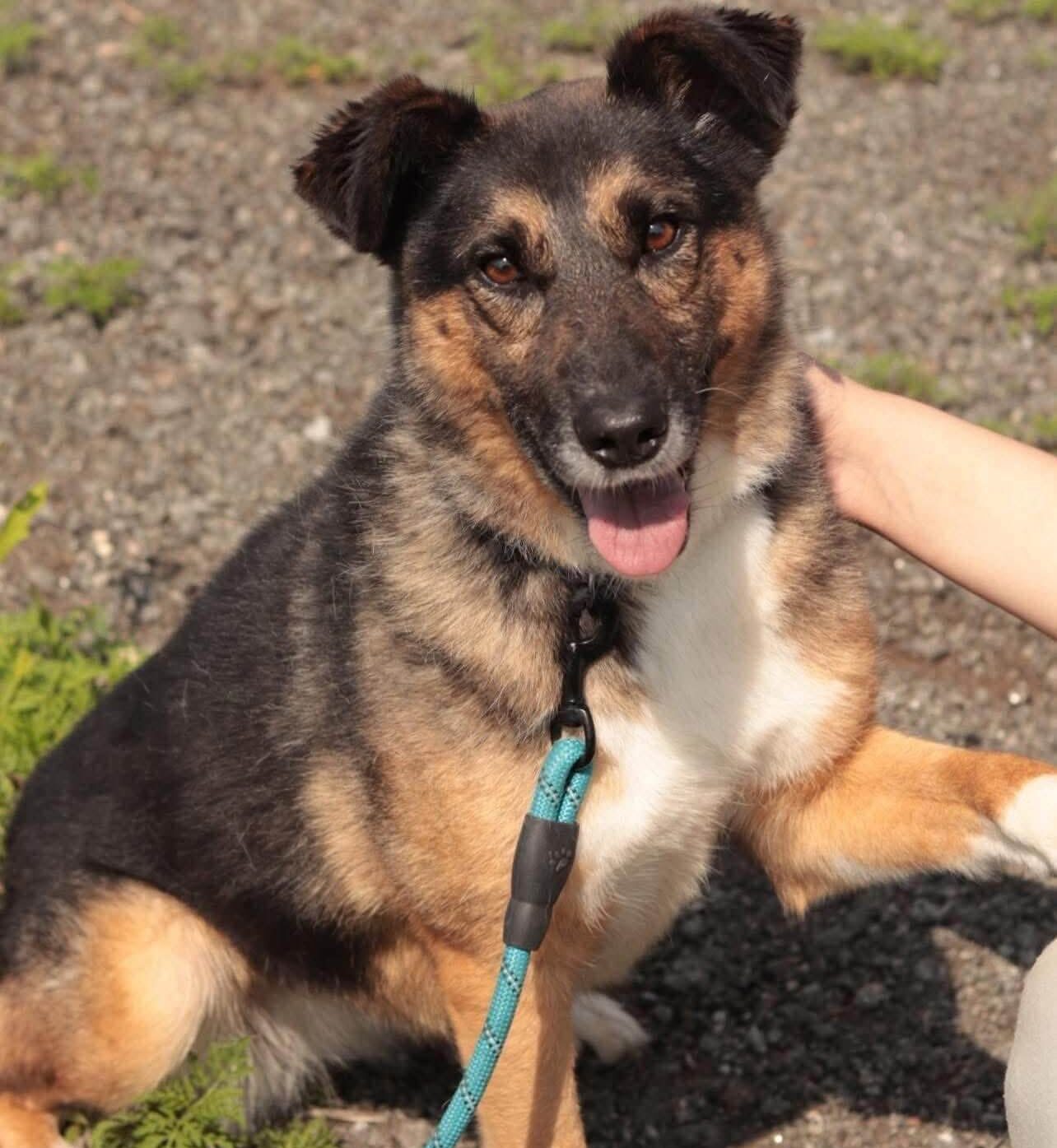 Zoja Is Waiting for Her Forever Family