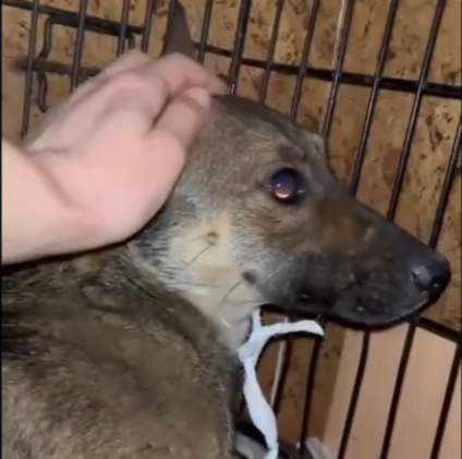 She Survived the Cold, the Darkness, and the Pain - Because Someone Chose to Care