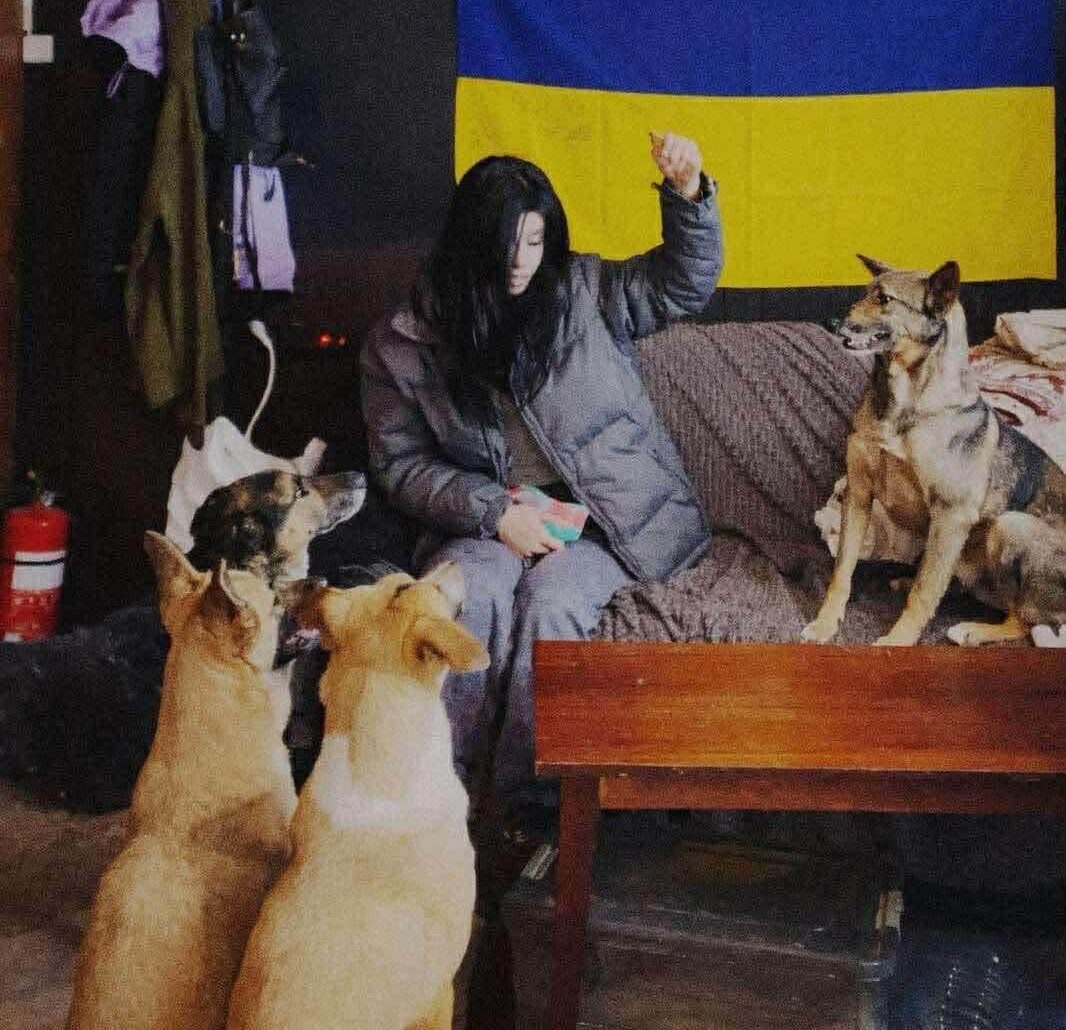 Shelter Joy for Rescue Dogs