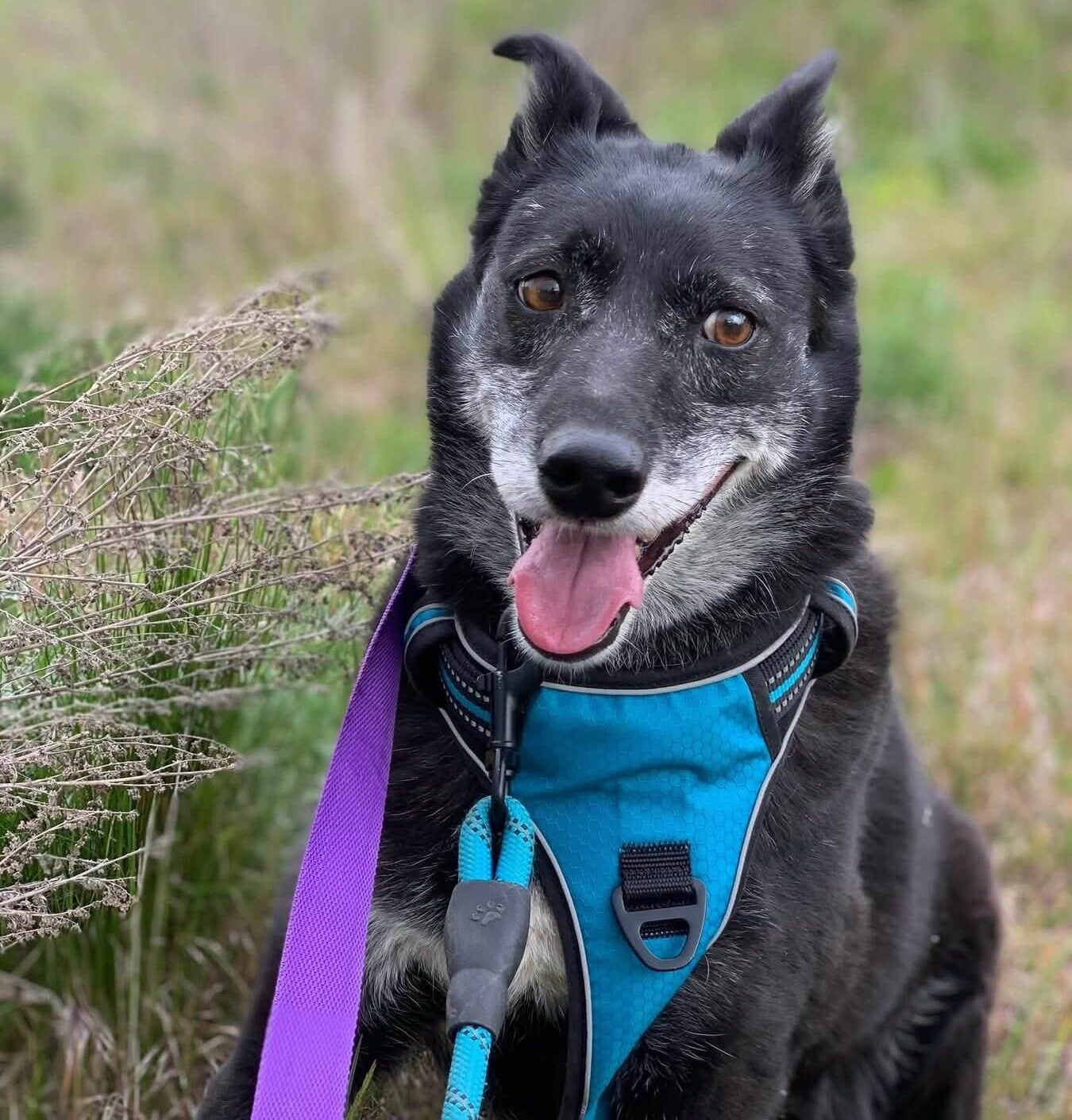 Become Rozina’s Sponsor - Change Her Life