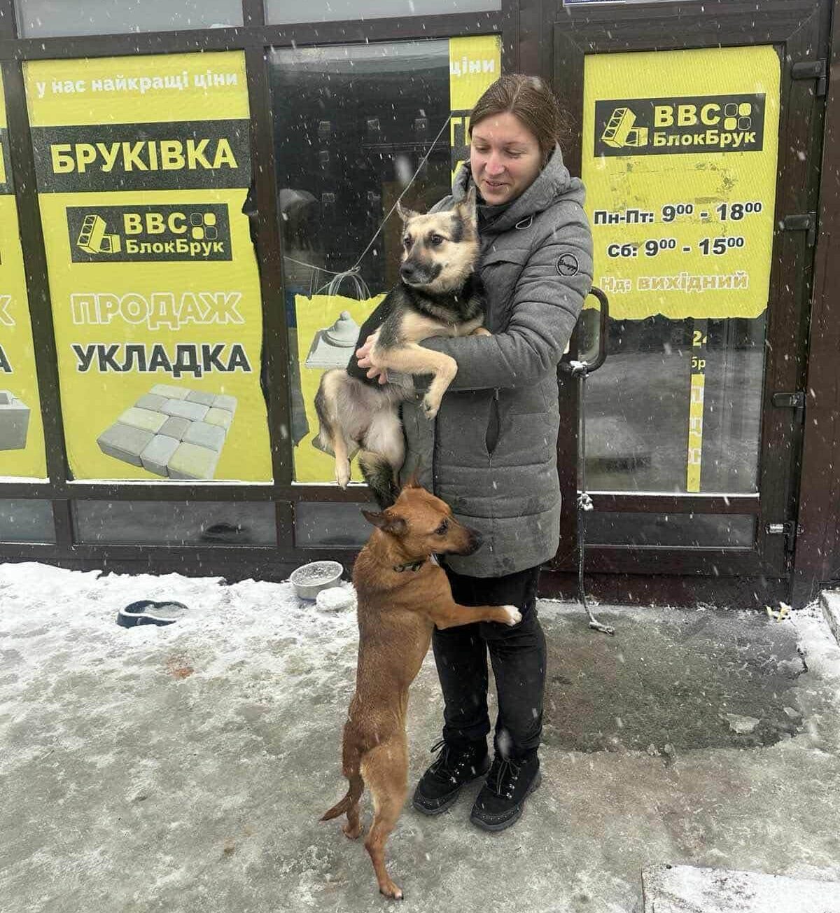 A Special Visit That Brought Joy to Our Dogs