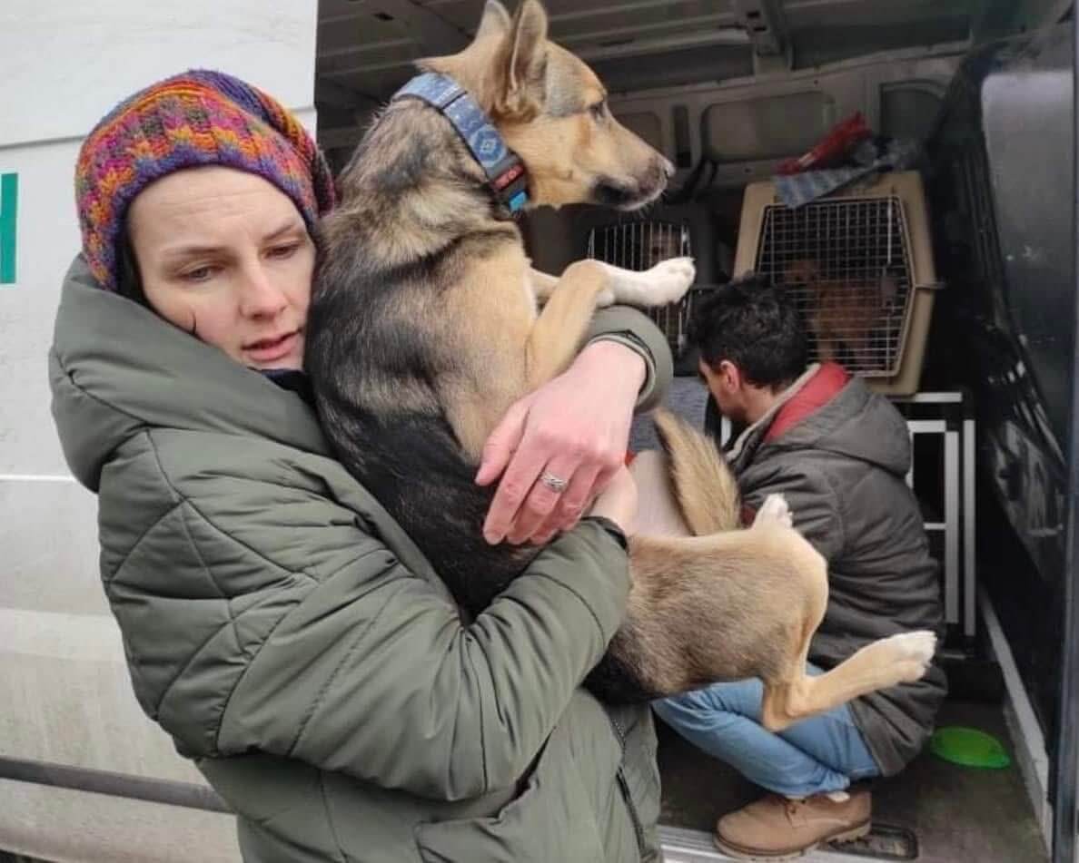 Four Years of War - And We Are Still Saving Lives