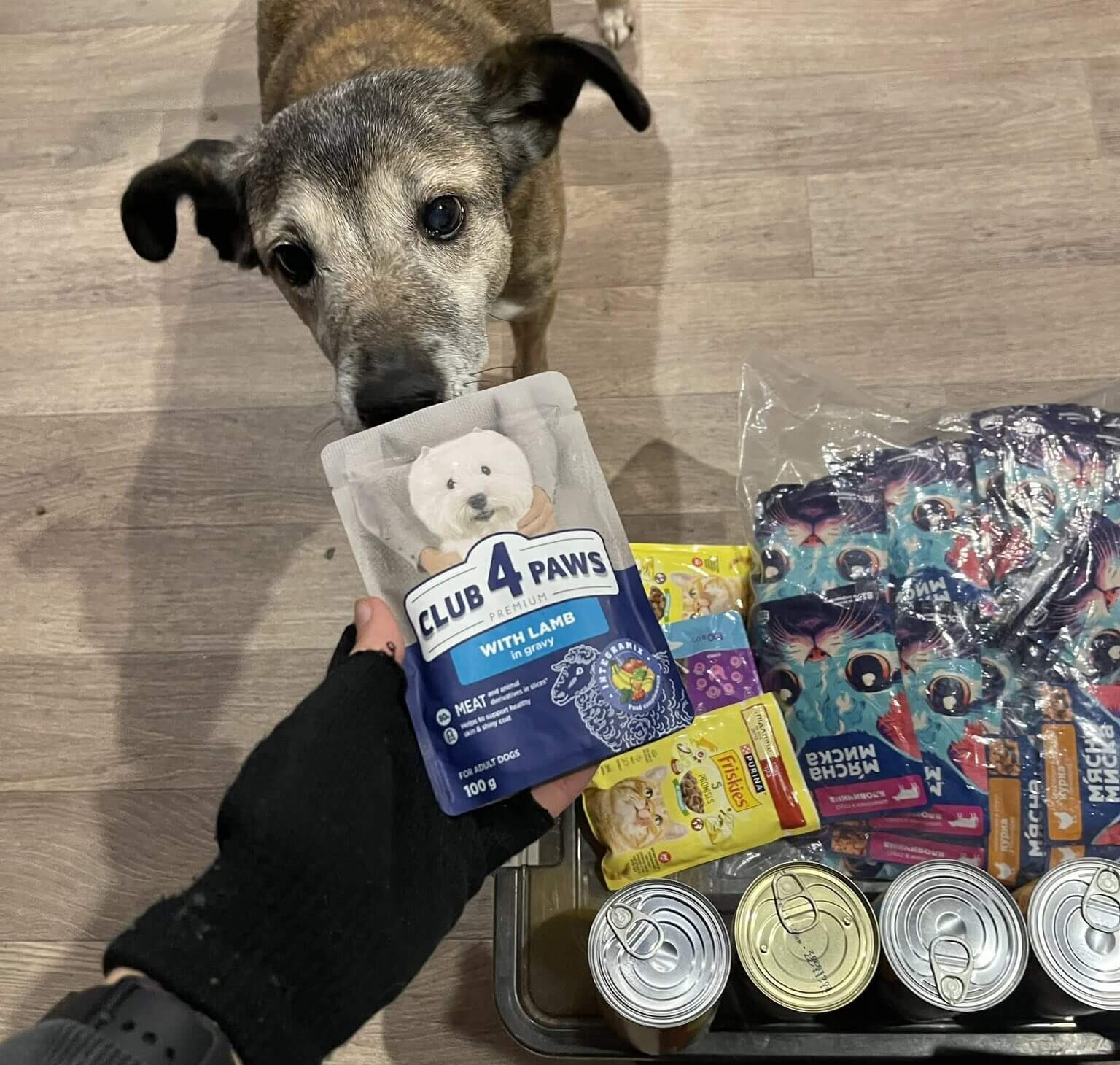 Kindness Begins Early- A Special Visit to Irpin Kindergarten