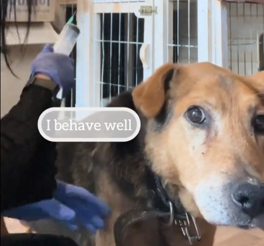 Brown Needs Your Help to Heal