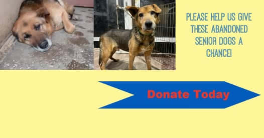 Help Braun and Botsman Get the Care They Deserve