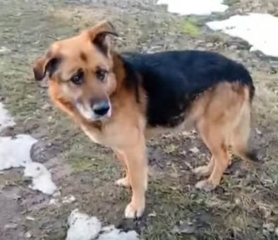 He’s Still Waiting — Don’t Leave Him Alone