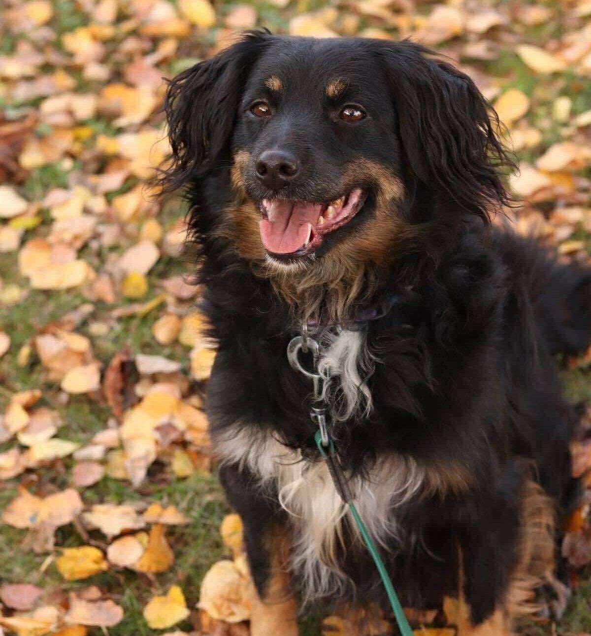 She Just Needs Someone to Feel Safe