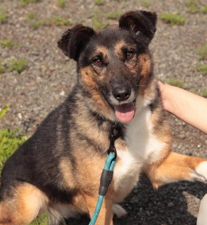 Zoja Is Waiting for Love: A Survivor Ready for a New Life