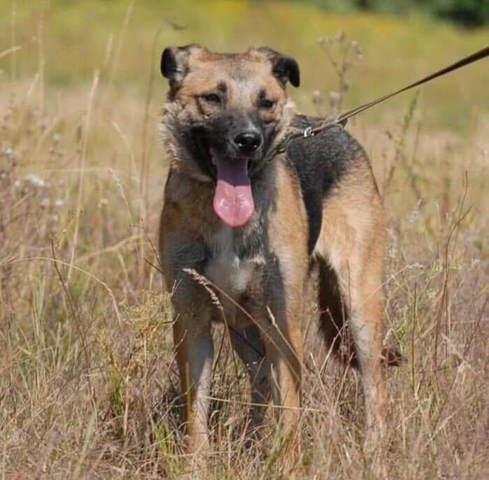 A Gentle Soul Still Waiting: Teidah’s Story of Hope