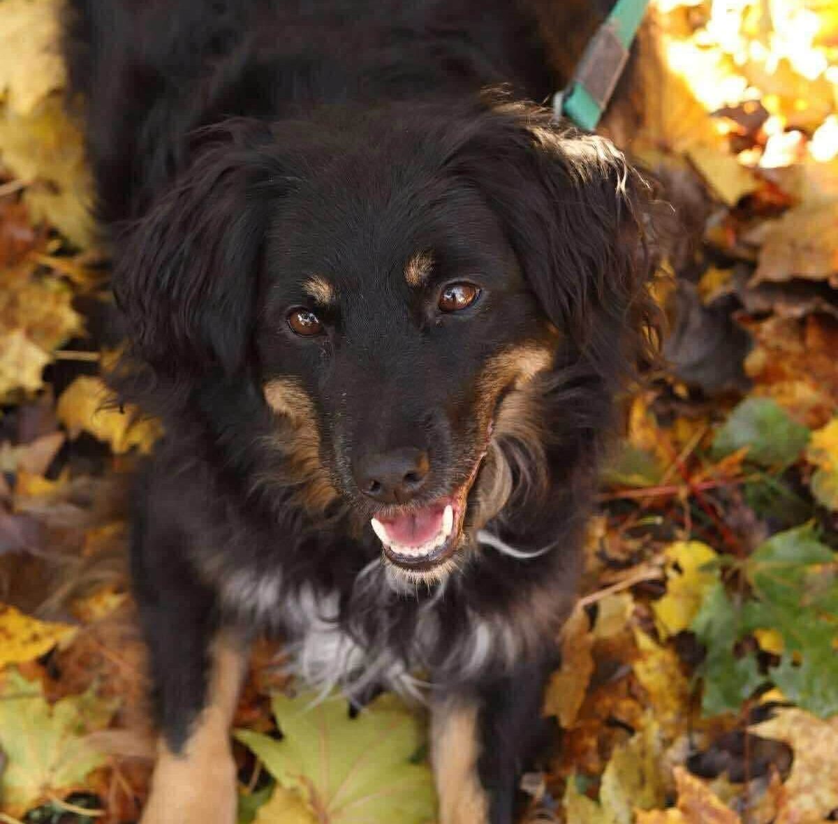 23.04.2026-news thumb