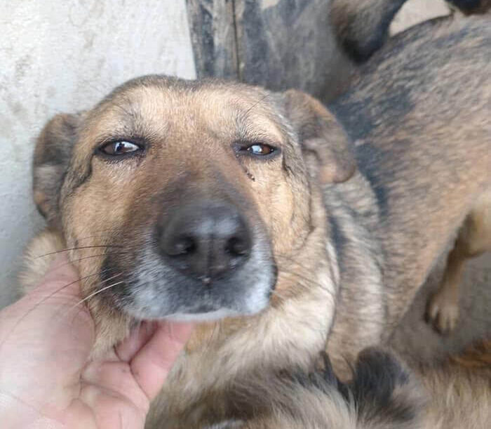 24.04.2026-news thumb