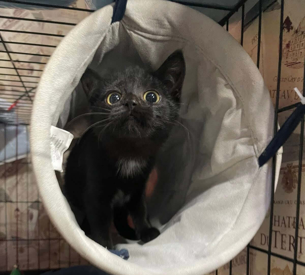 25.04.2026-news thumb