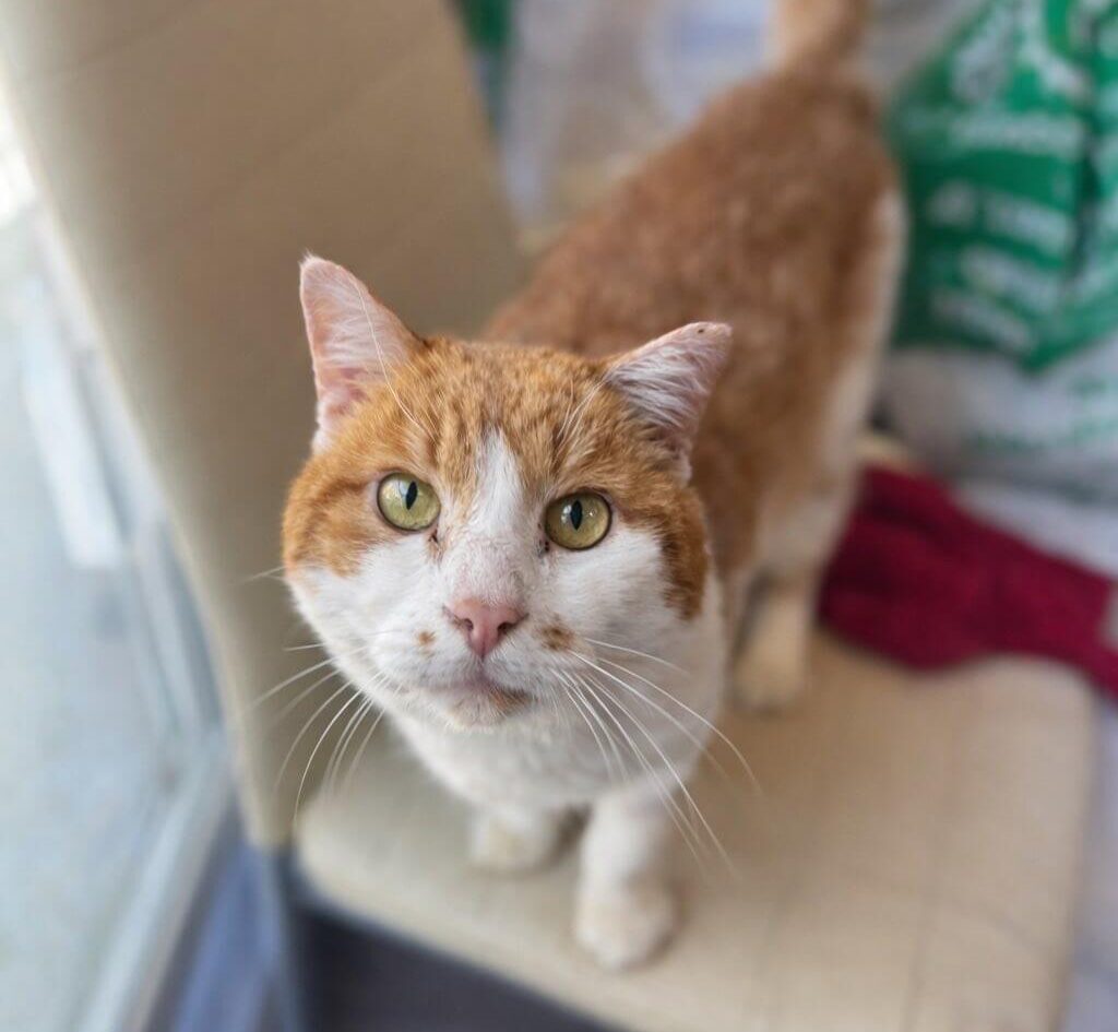 26.04.2026-news-thumb