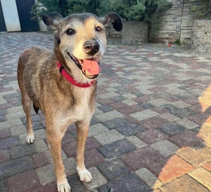 27.04.2026-news thumb