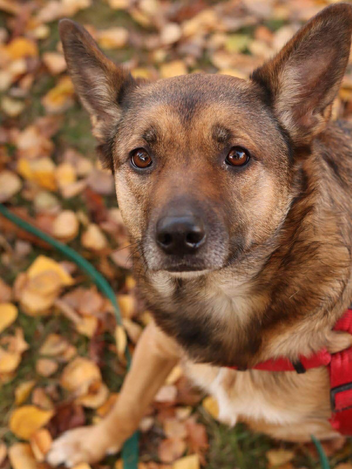 639442482_26157798710574112_3283440882525328043_n