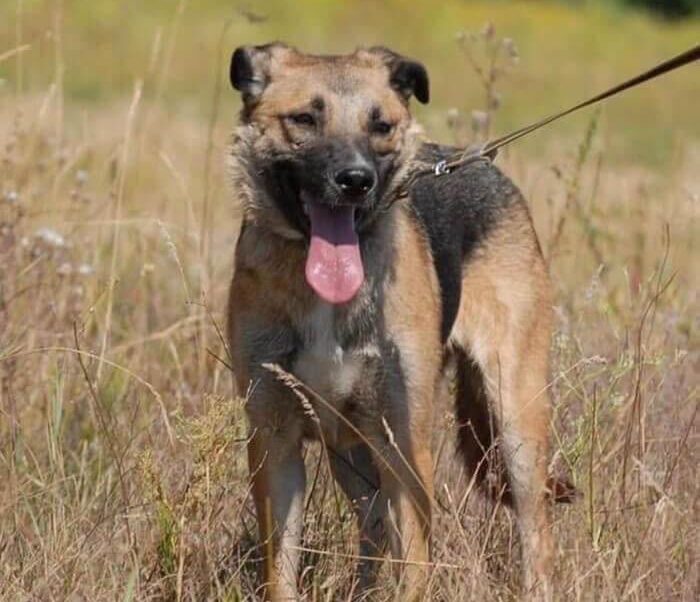 Teidah’s Story: A Gentle Soul Waiting for Kindness