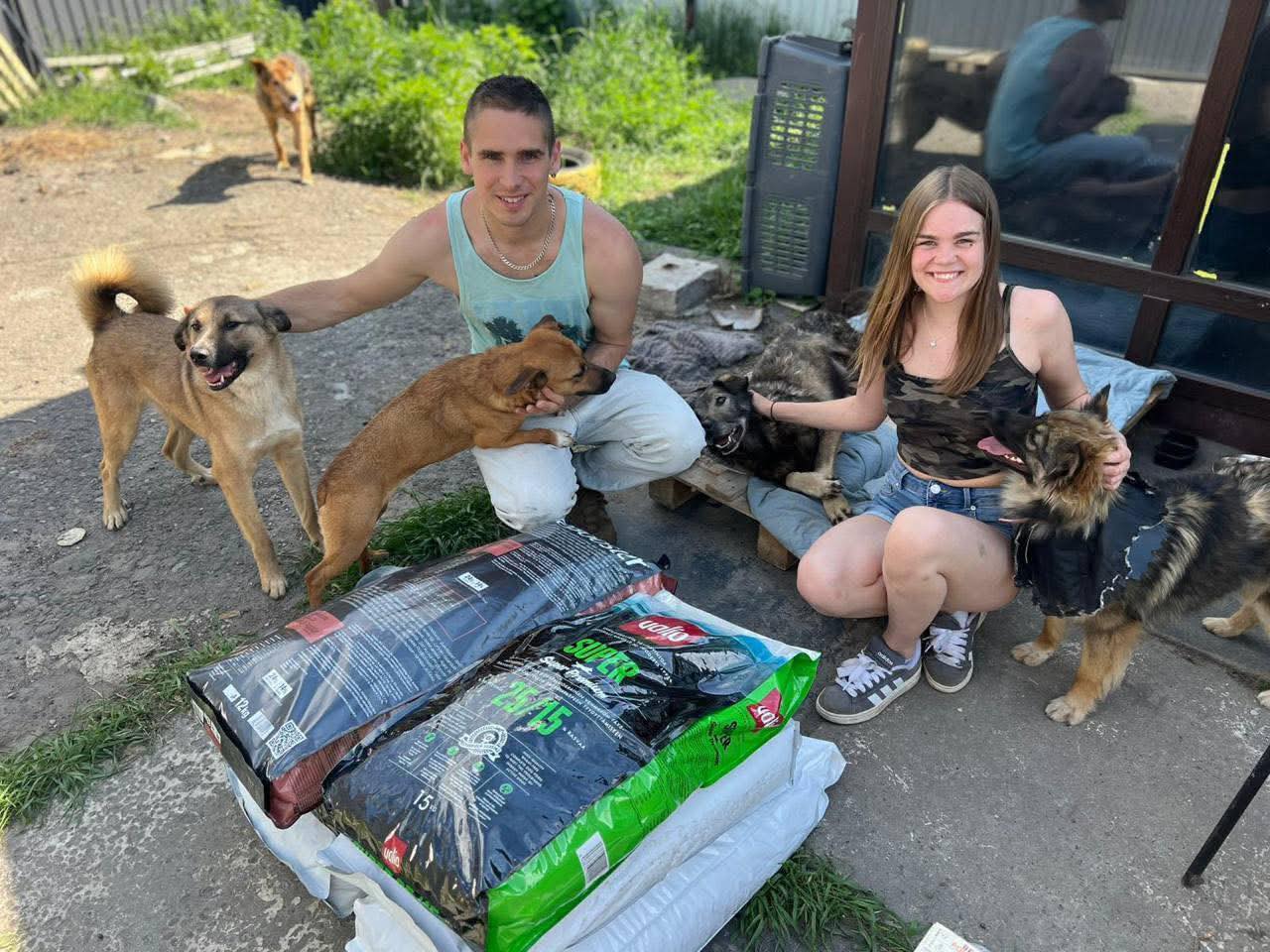 Keeping Rescue Dogs Fed, One Donation at a Time