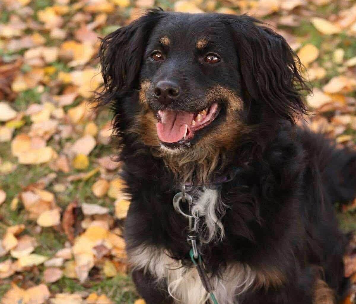 Meet Bala: A Gentle Heart Waiting for Someone to Believe in Her