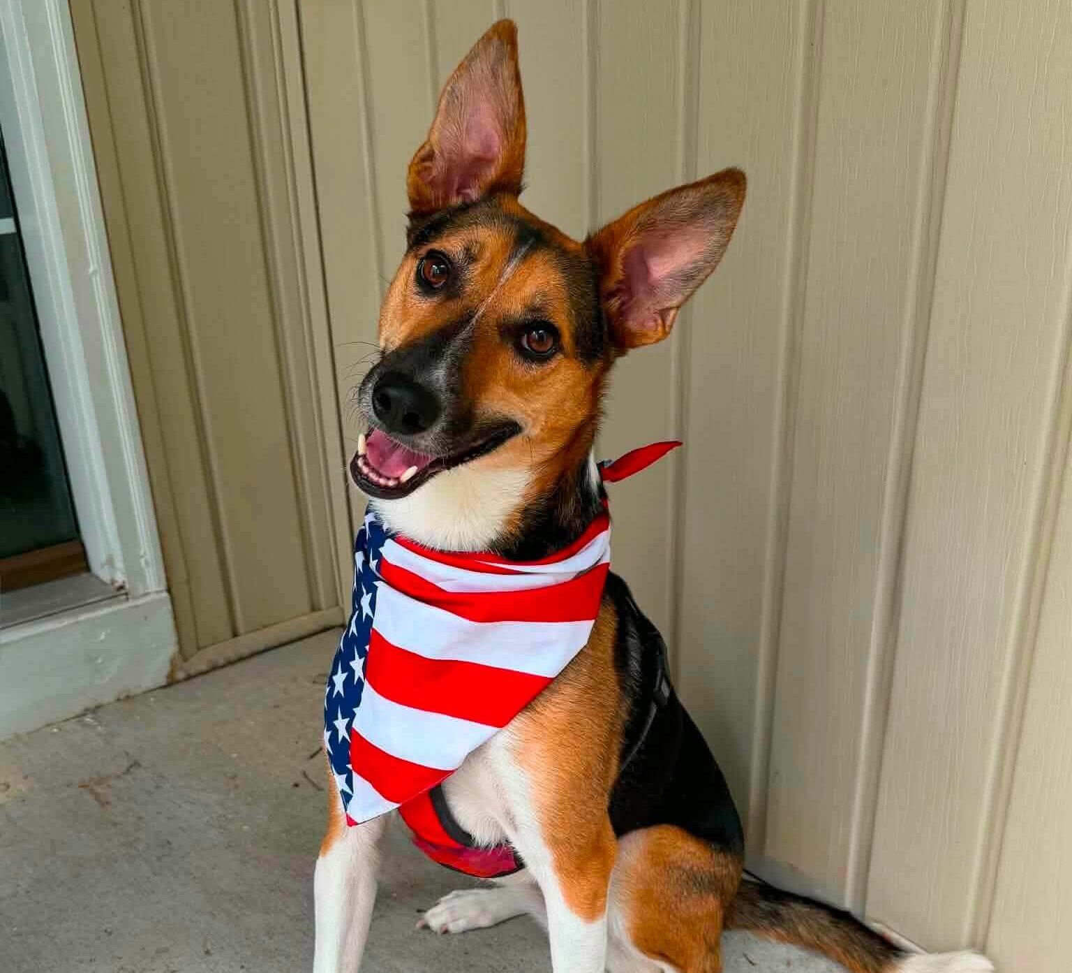 From the Streets of Ukraine to a New Life in America: Dashka’s Incredible Journey
