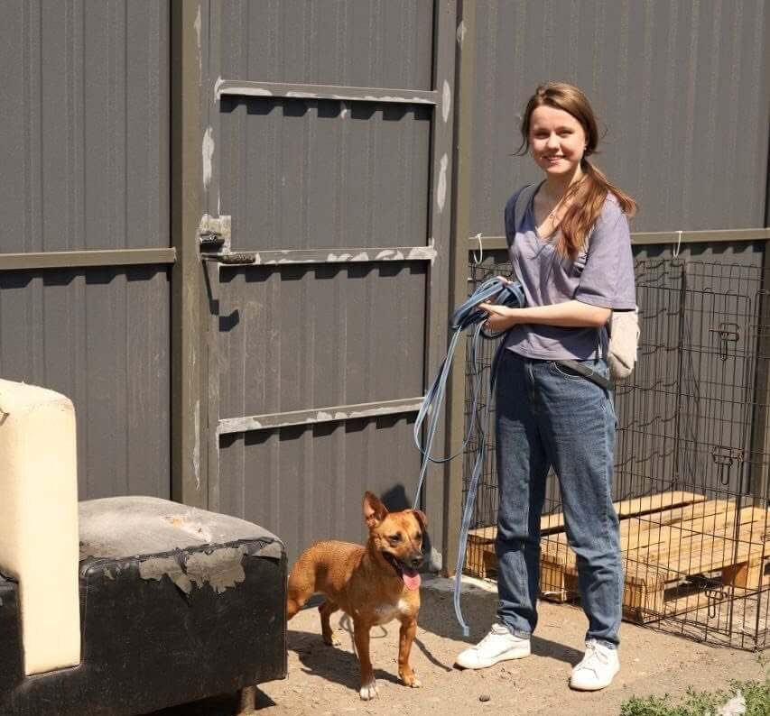 A Small Visit That Meant the World to Our Dogs