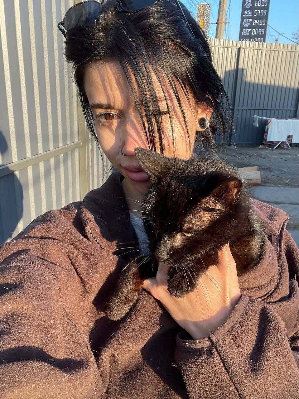 Remembering Scratch: Saying Goodbye to a Brave Rescue Cat