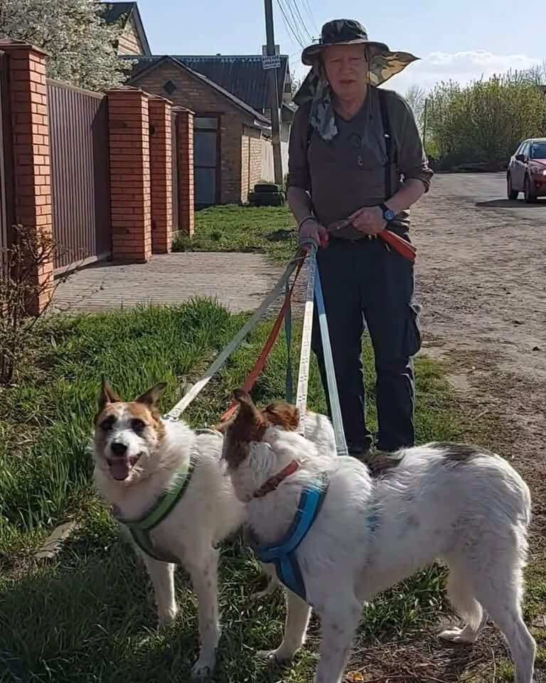 Betty & Basya Are Waiting for a Home Together