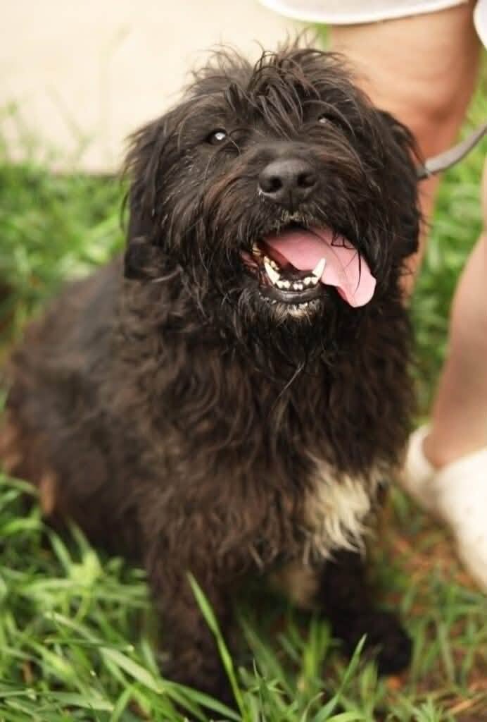 Meet Fima: An Adventurous Girl Ready for Love