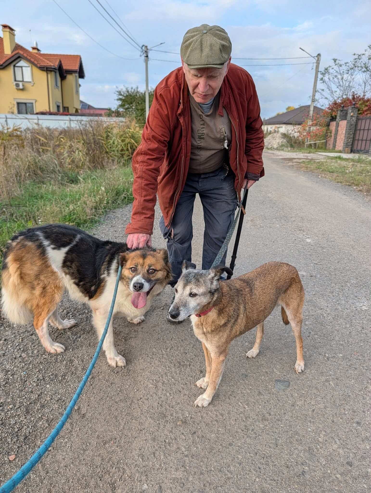 Nine Dogs Are One Step Closer to Safety
