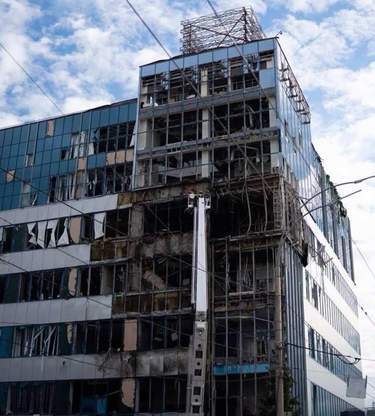 Kyiv Under Attack: Our Dogs Need Safe Homes